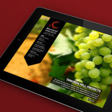 NRG-Advertising-Blaxland-Wine-Group-Website-thumb
