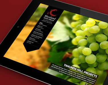 NRG-Advertising-Blaxland-Wine-Group-Website-thumb