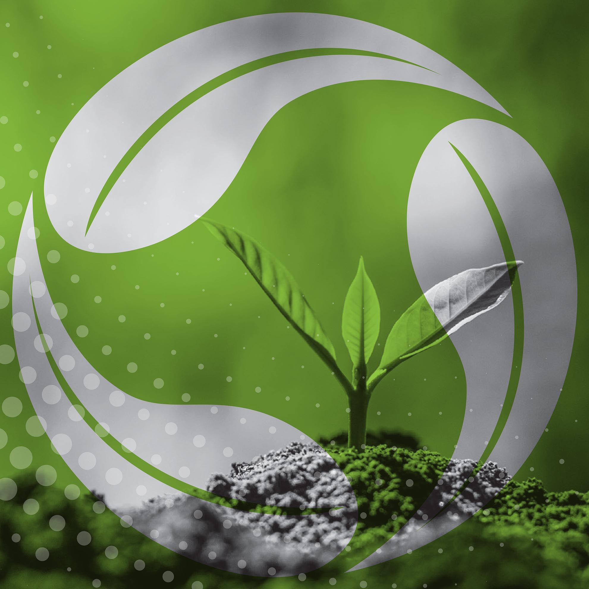 NAWMA - NRG Advertising I Digital Design Agency Adelaide