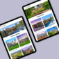 Dee-Anne Hunt Corporate Branding and Website